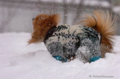 Feb14_08_011.JPG