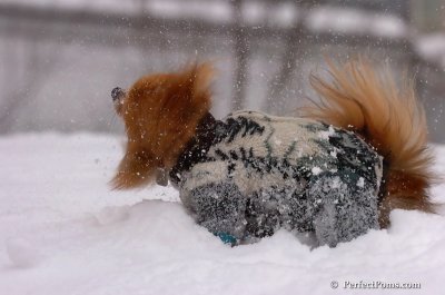 Feb14_08_012.JPG