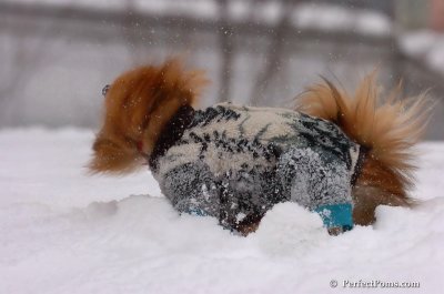 Feb14_08_014.JPG