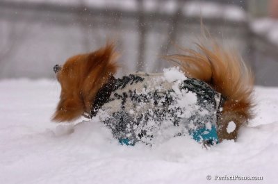 Feb14_08_015.JPG