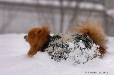 Feb14_08_016.JPG