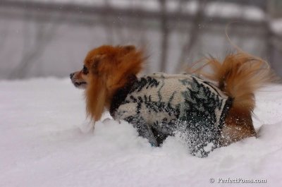 Feb14_08_017.JPG