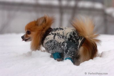Feb14_08_019.JPG