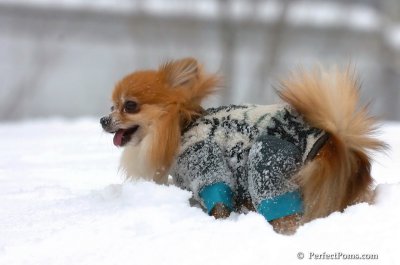 Feb14_08_020.JPG