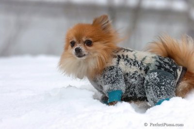 Feb14_08_022.JPG