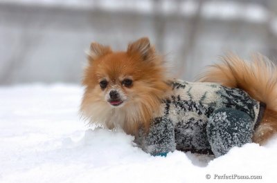 Feb14_08_023.JPG