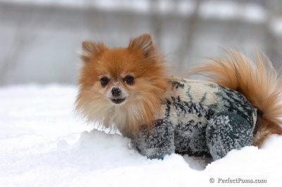 Feb14_08_024.JPG