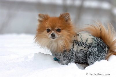 Feb14_08_025.JPG