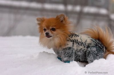 Feb14_08_026.JPG