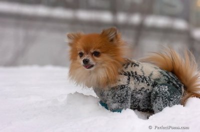 Feb14_08_027.JPG