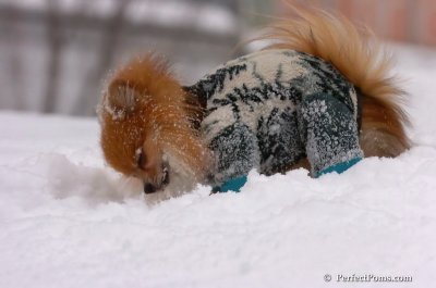 Feb14_08_029.JPG