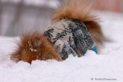 Feb14_08_032.jpg