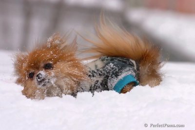 Feb14_08_034.jpg