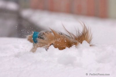 Feb14_08_038.jpg