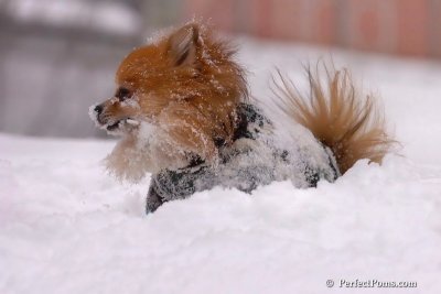 Feb14_08_039.jpg