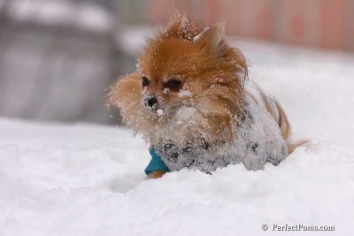 Feb14_08_040.jpg