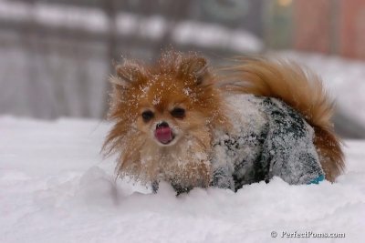 Feb14_08_048.jpg