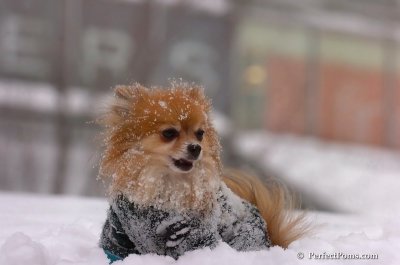 Feb14_08_054.JPG