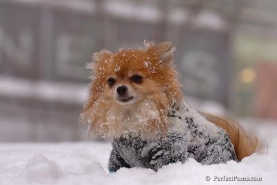 Feb14_08_059.jpg