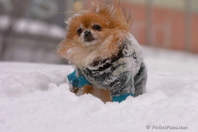 Feb14_08_065.jpg