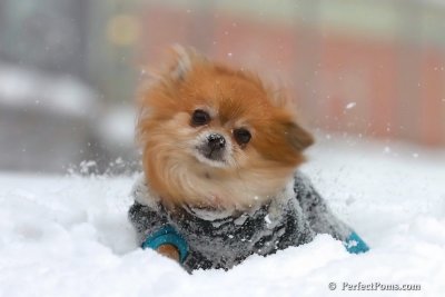 Feb14_08_074.jpg