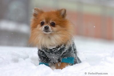 Feb14_08_076.JPG