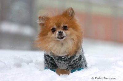 Feb14_08_077.JPG
