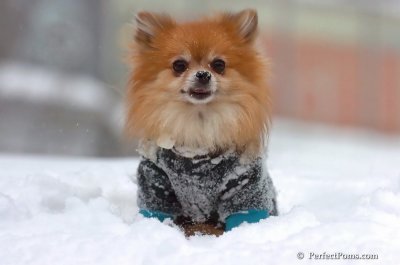 Feb14_08_078.JPG