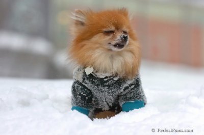 Feb14_08_079.JPG