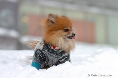 Feb14_08_080.JPG