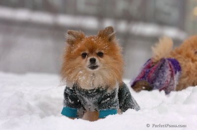 Feb14_08_102.JPG