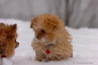 Feb14_08_104.JPG