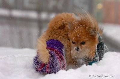 Feb14_08_107.JPG