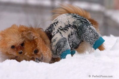 Feb14_08_108.jpg