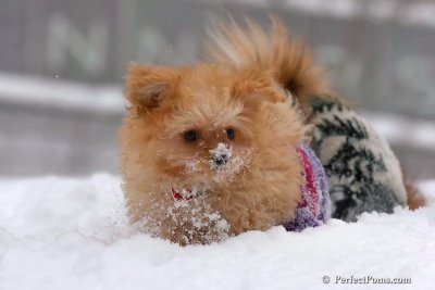 Feb14_08_111.jpg