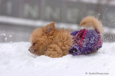 Feb14_08_113.JPG
