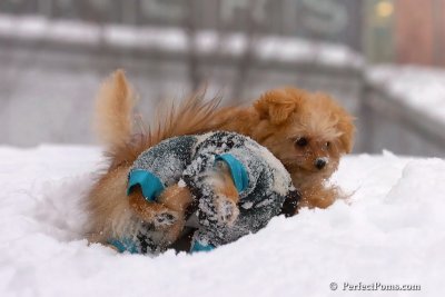 Feb14_08_114.jpg
