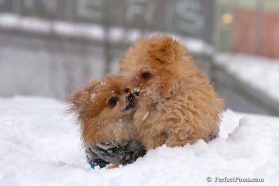 Feb14_08_120.jpg