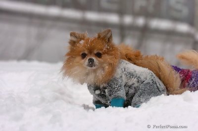 Feb14_08_122.JPG