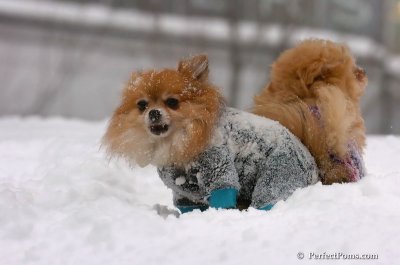 Feb14_08_123.JPG
