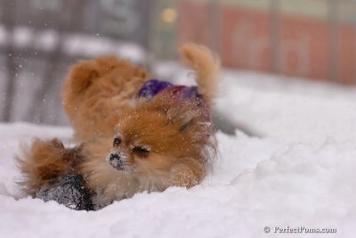 Feb14_08_124.jpg