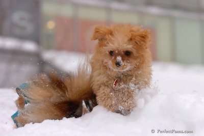 Feb14_08_126.jpg