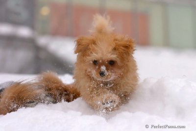Feb14_08_127.jpg
