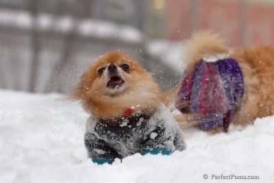 Feb14_08_134.jpg