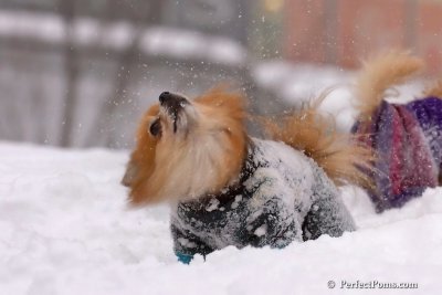 Feb14_08_137.jpg