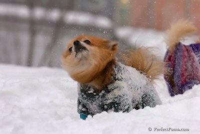 Feb14_08_138.jpg