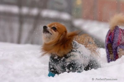 Feb14_08_139.jpg