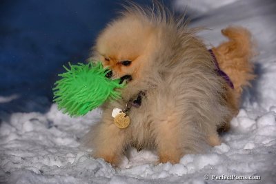 Feb16_08_197.jpg