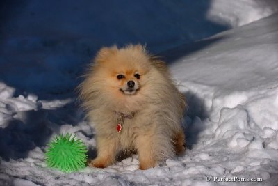 Feb16_08_199.jpg