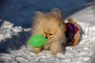 Feb16_08_200.jpg